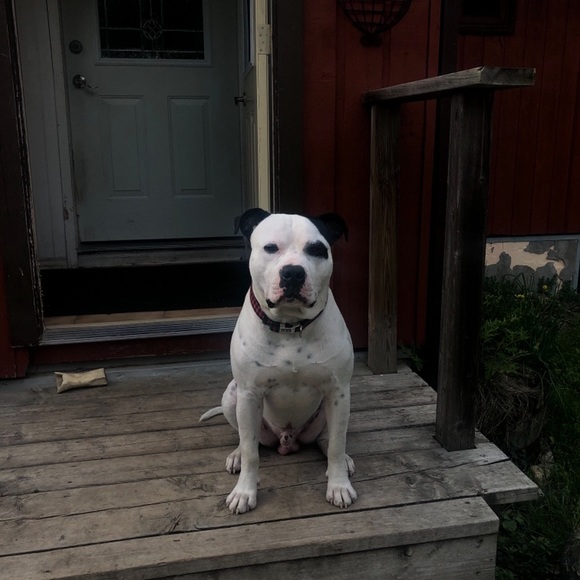 Meet your Posher, Dalynne - Picture 1 of 1